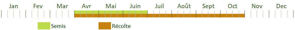 Calendrier de culture